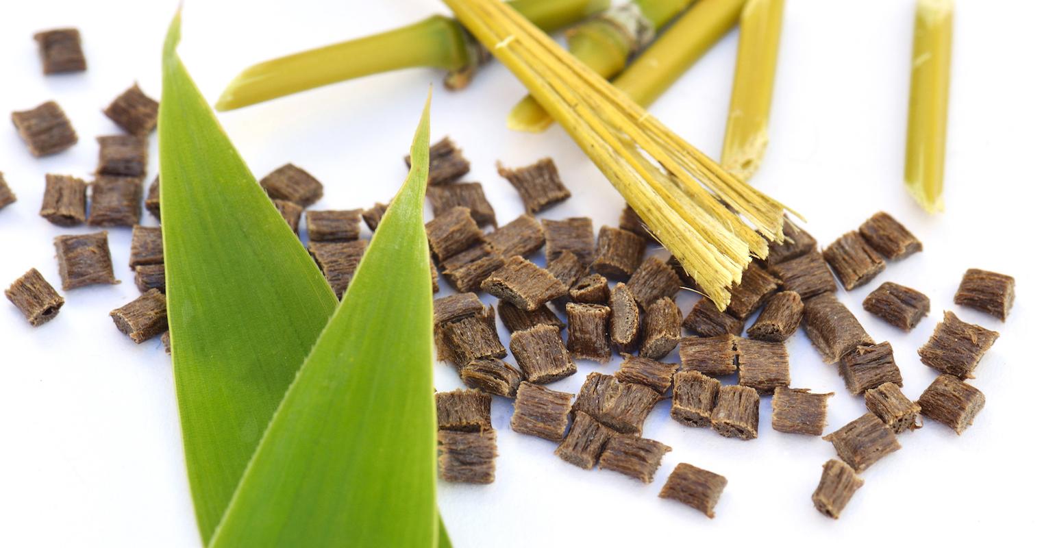 What Are Biodegradable Polymers, and Why Should They Be Used?