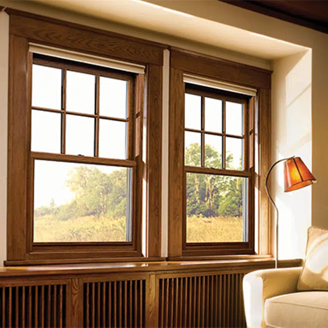 Double Hung Windows